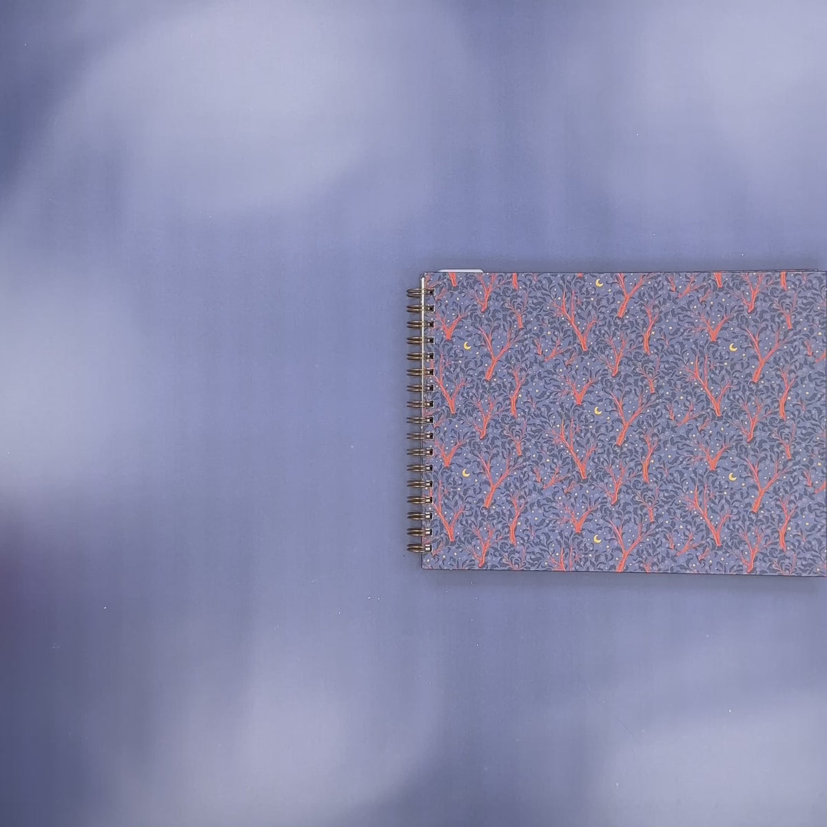 Flip-Through Video