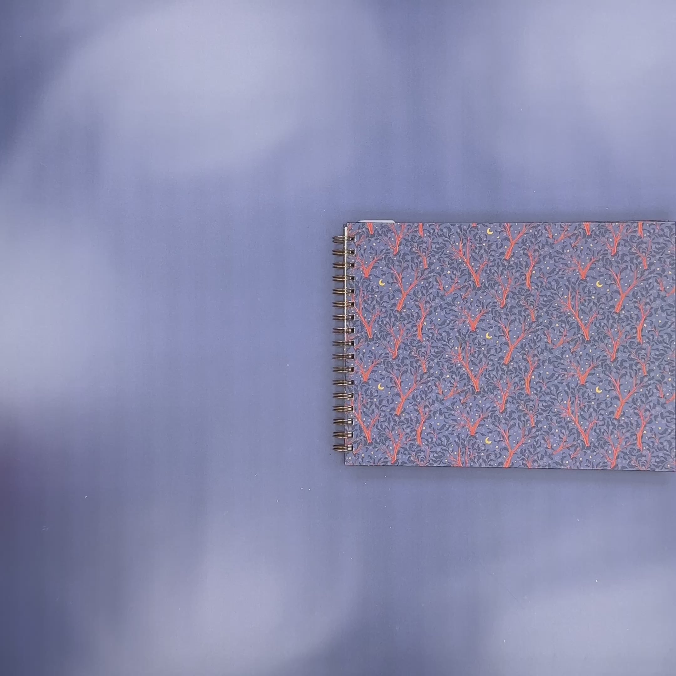 Flip-Through Video
