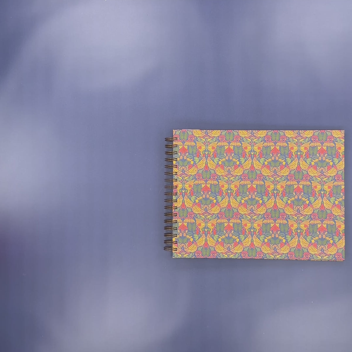 Flip-Through Video