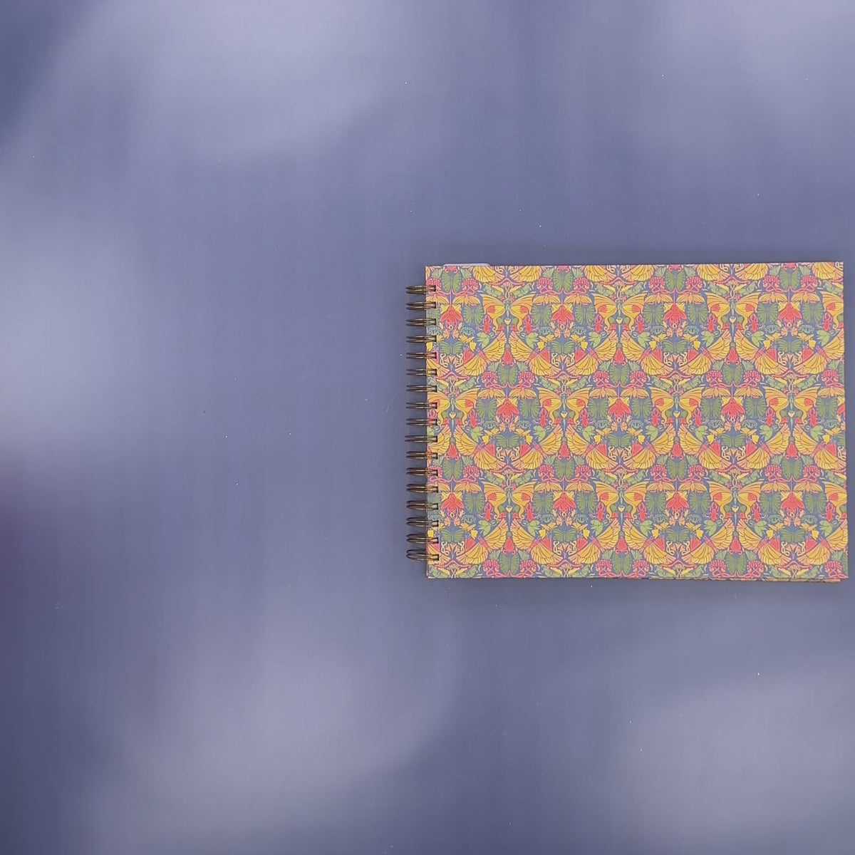 Flip-Through Video