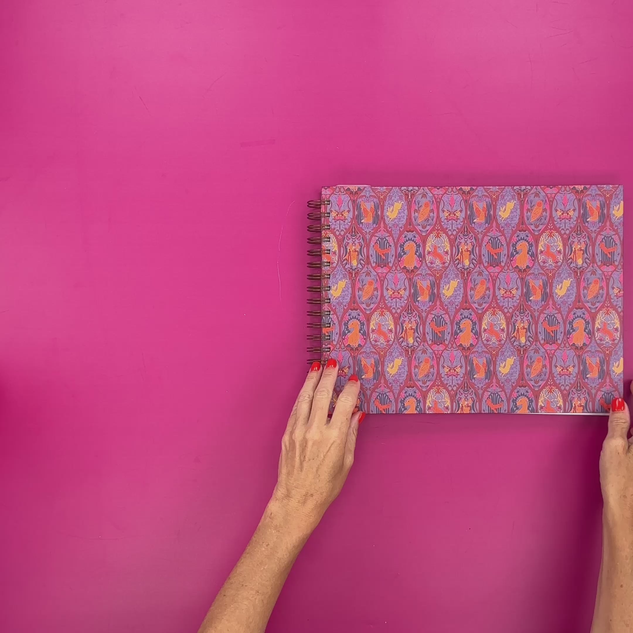 Flip-Through Video
