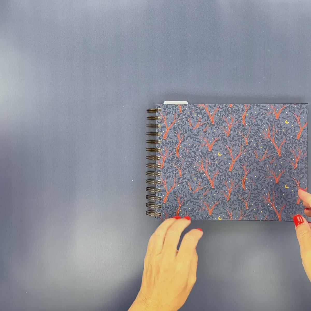 Flip-Through Video
