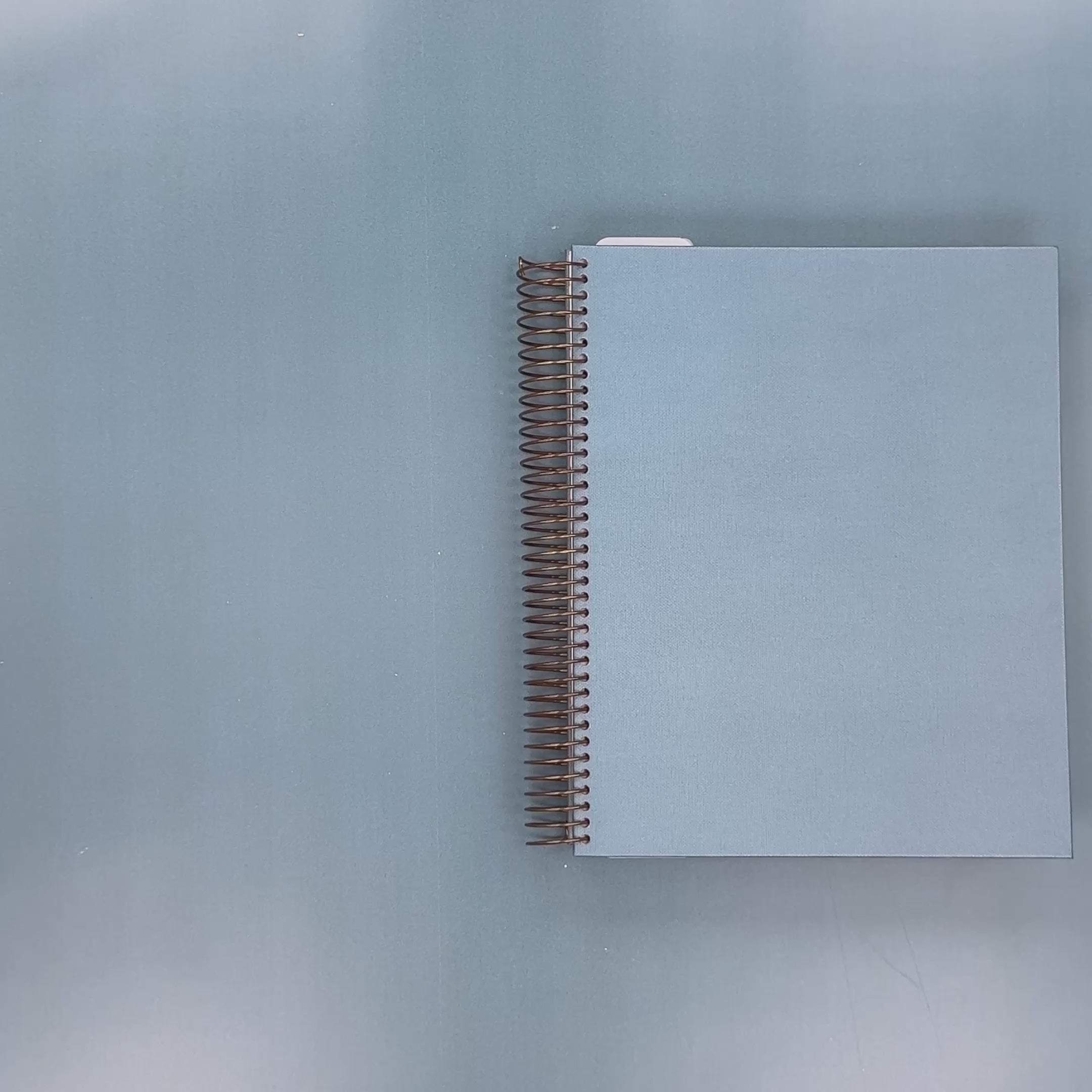 Flip-Through Video