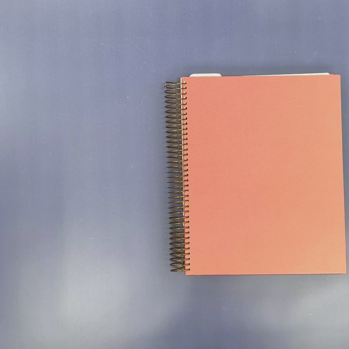 Flip-Through Video