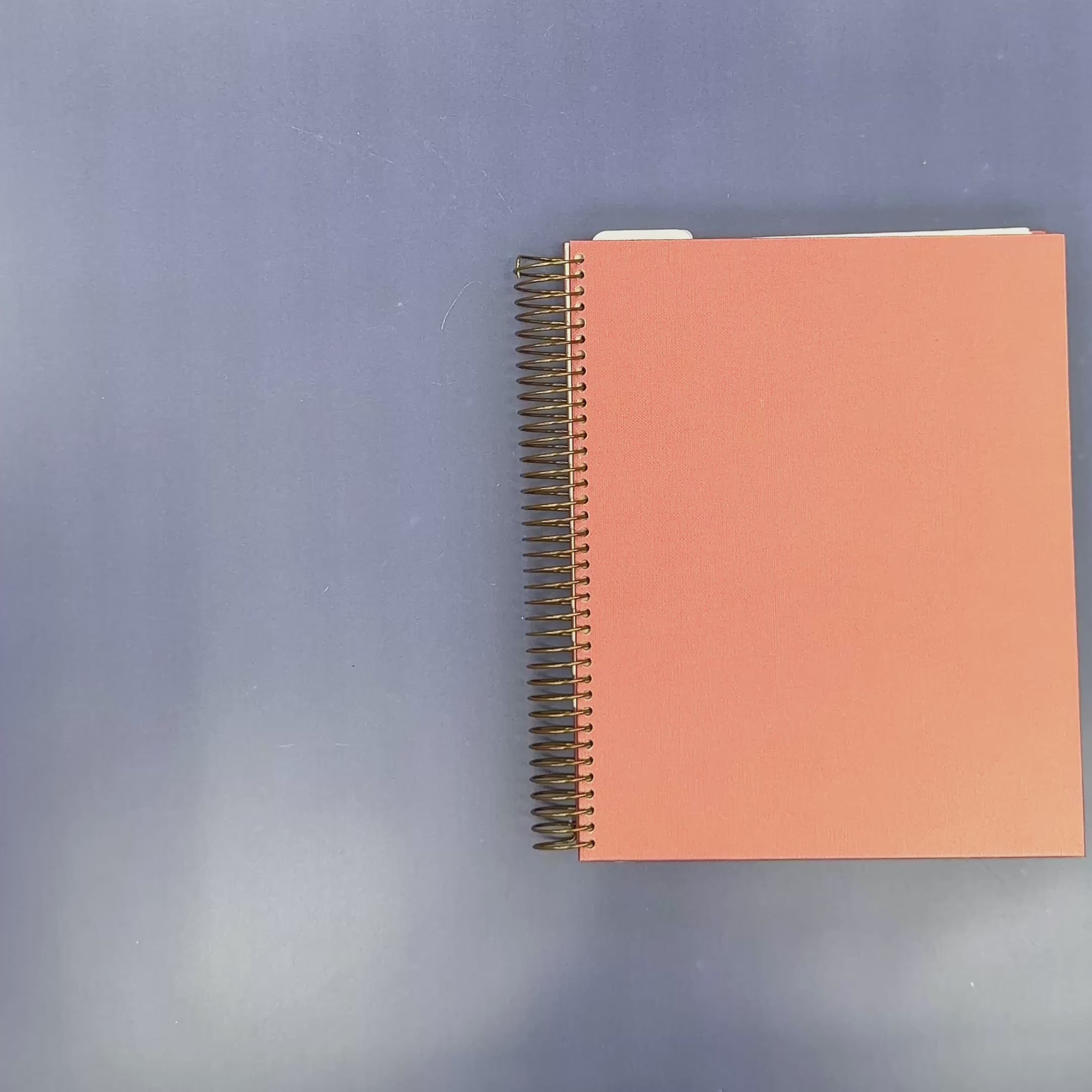 Flip-Through Video