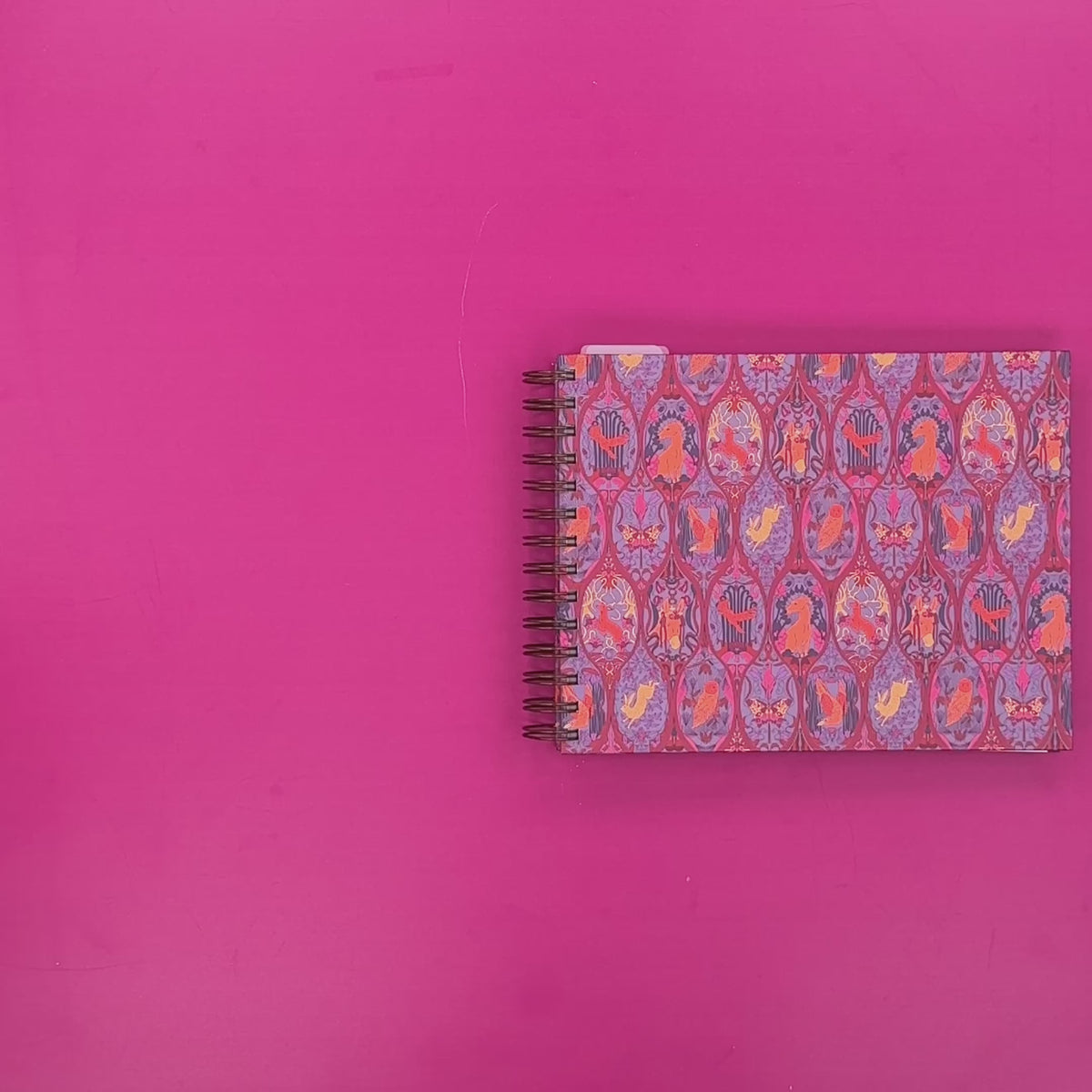 Flip-Through Video