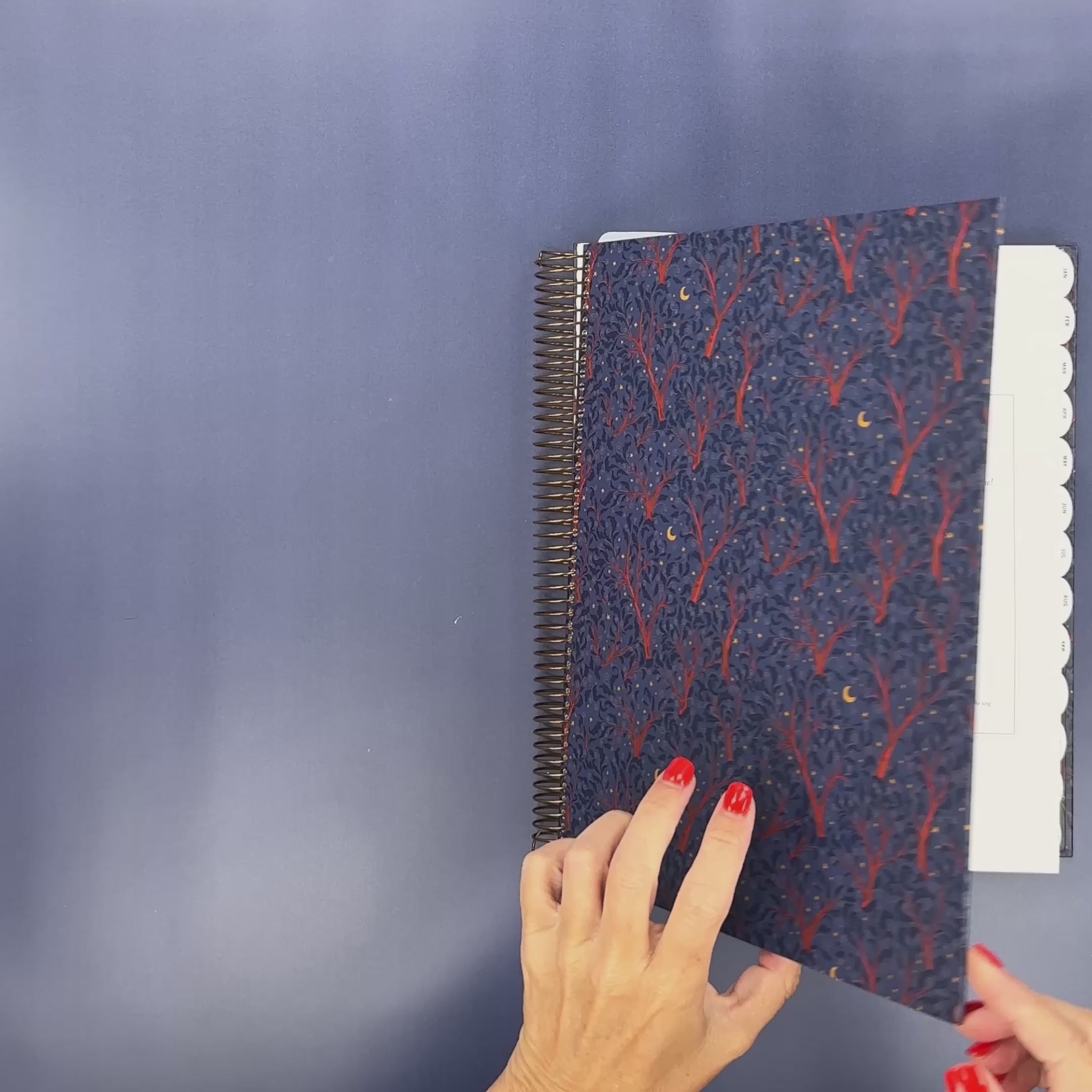 Flip-Through Video