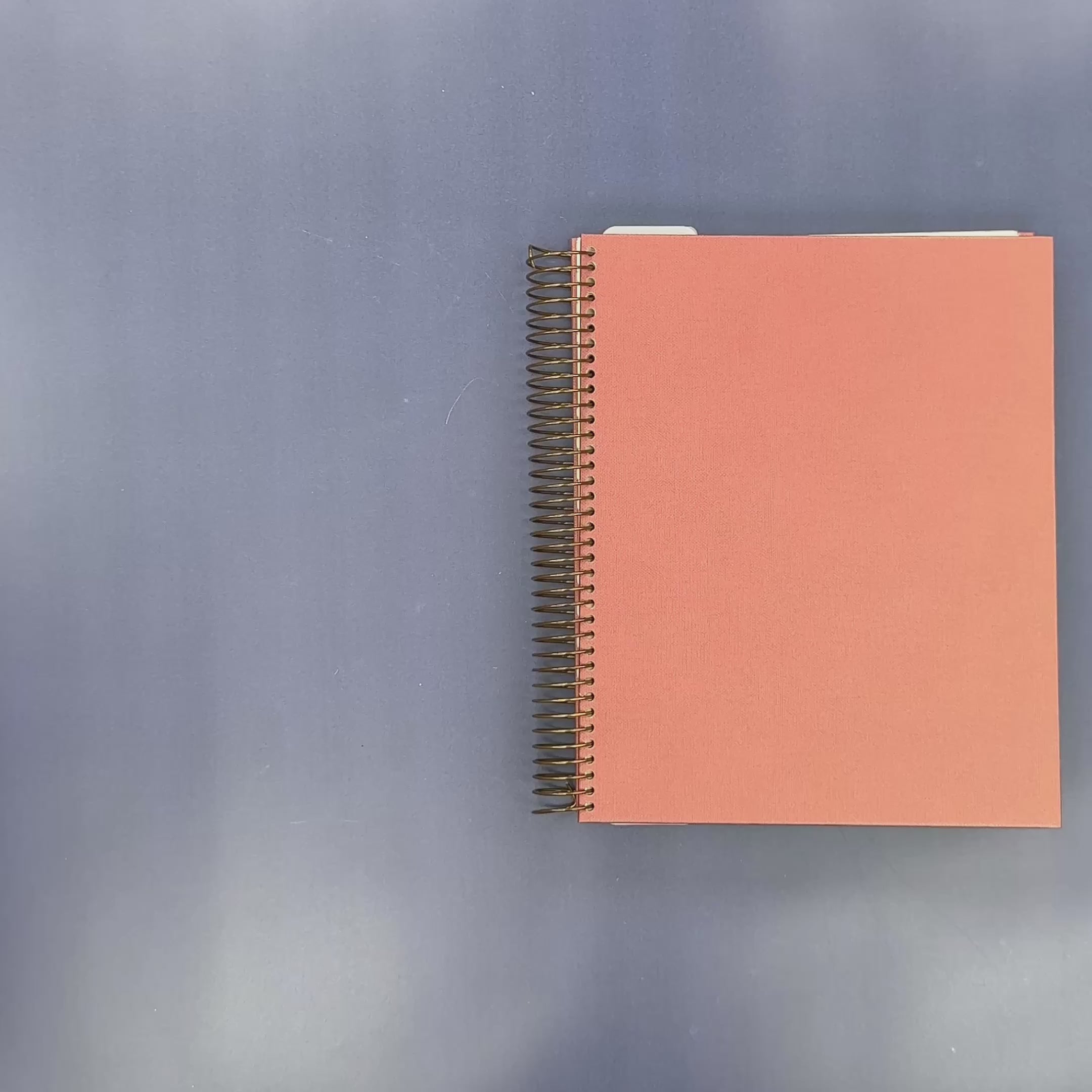 Flip-Through Video