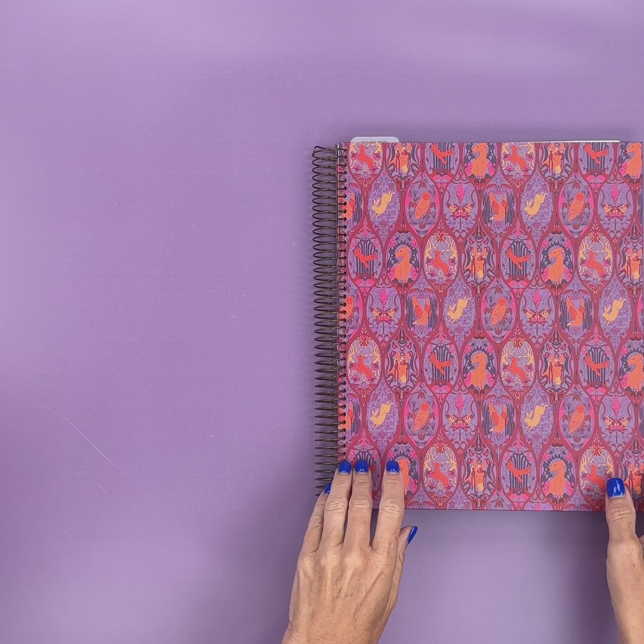Flip-Through Video