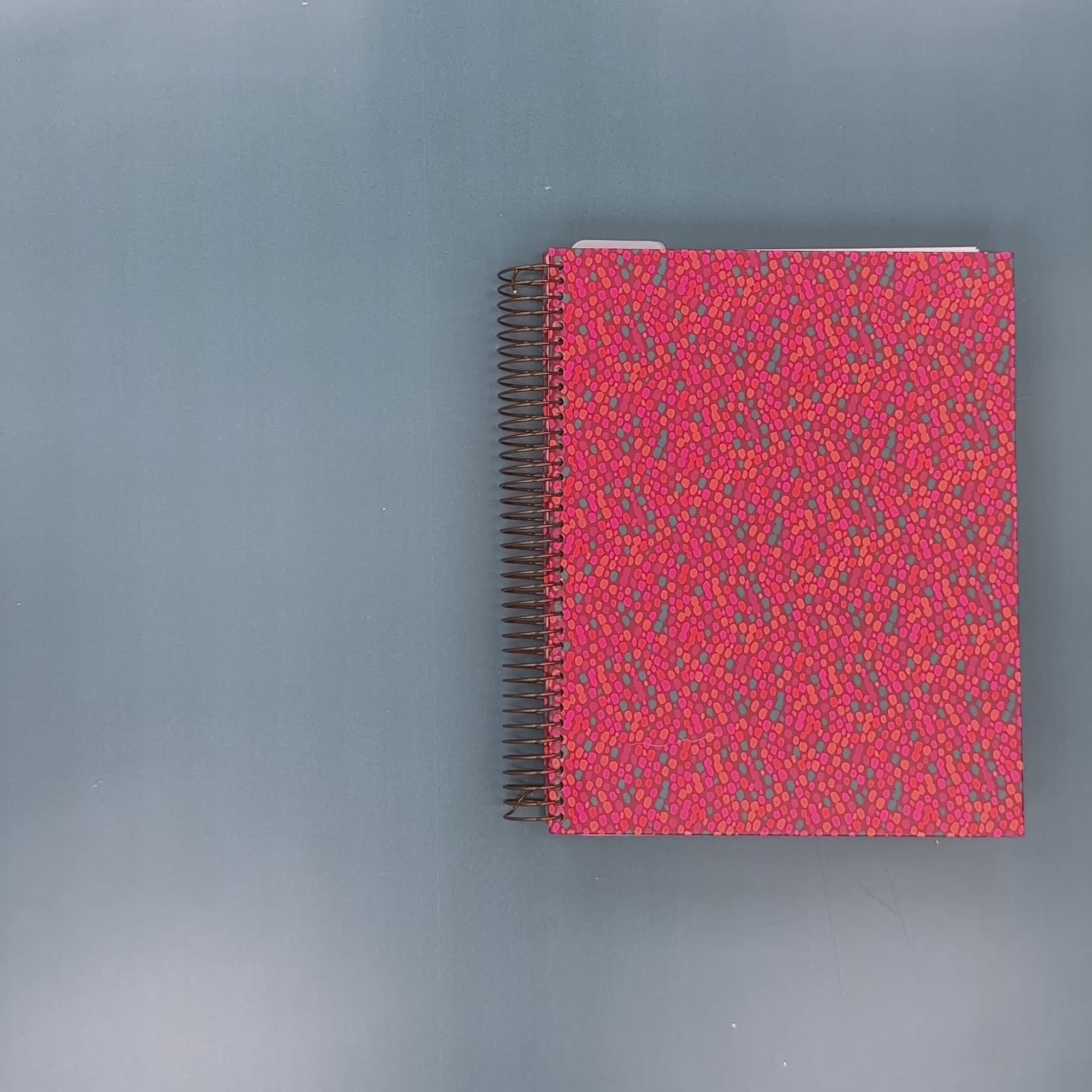 Flip-Through Video