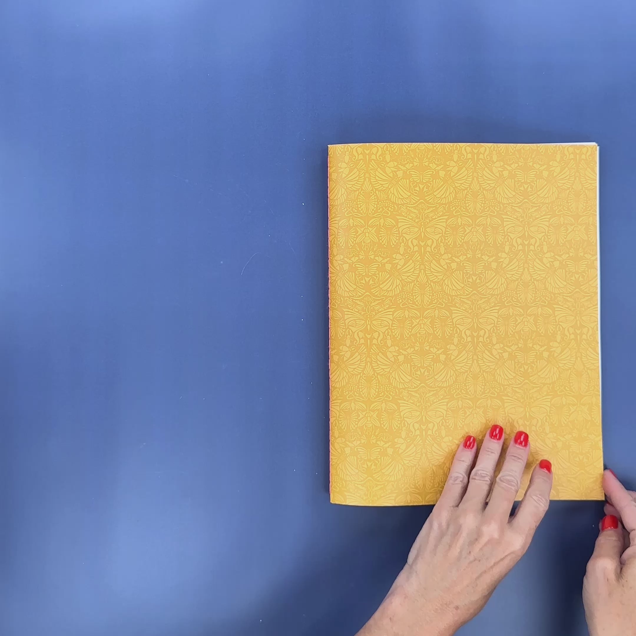 Flip-Through Video