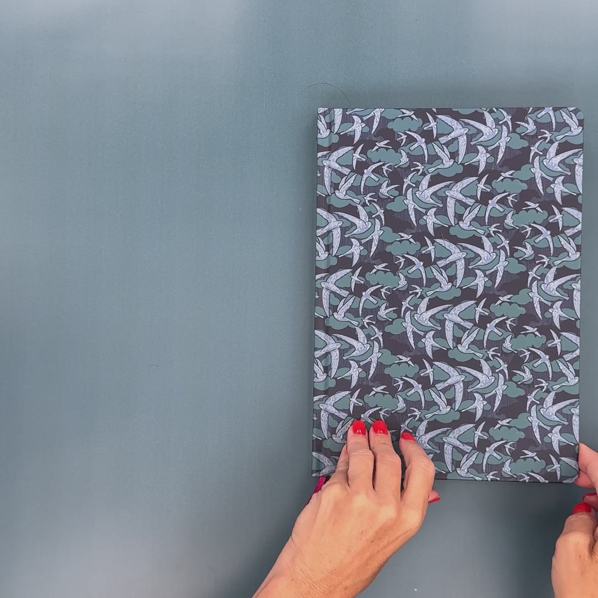Flip-Through Video