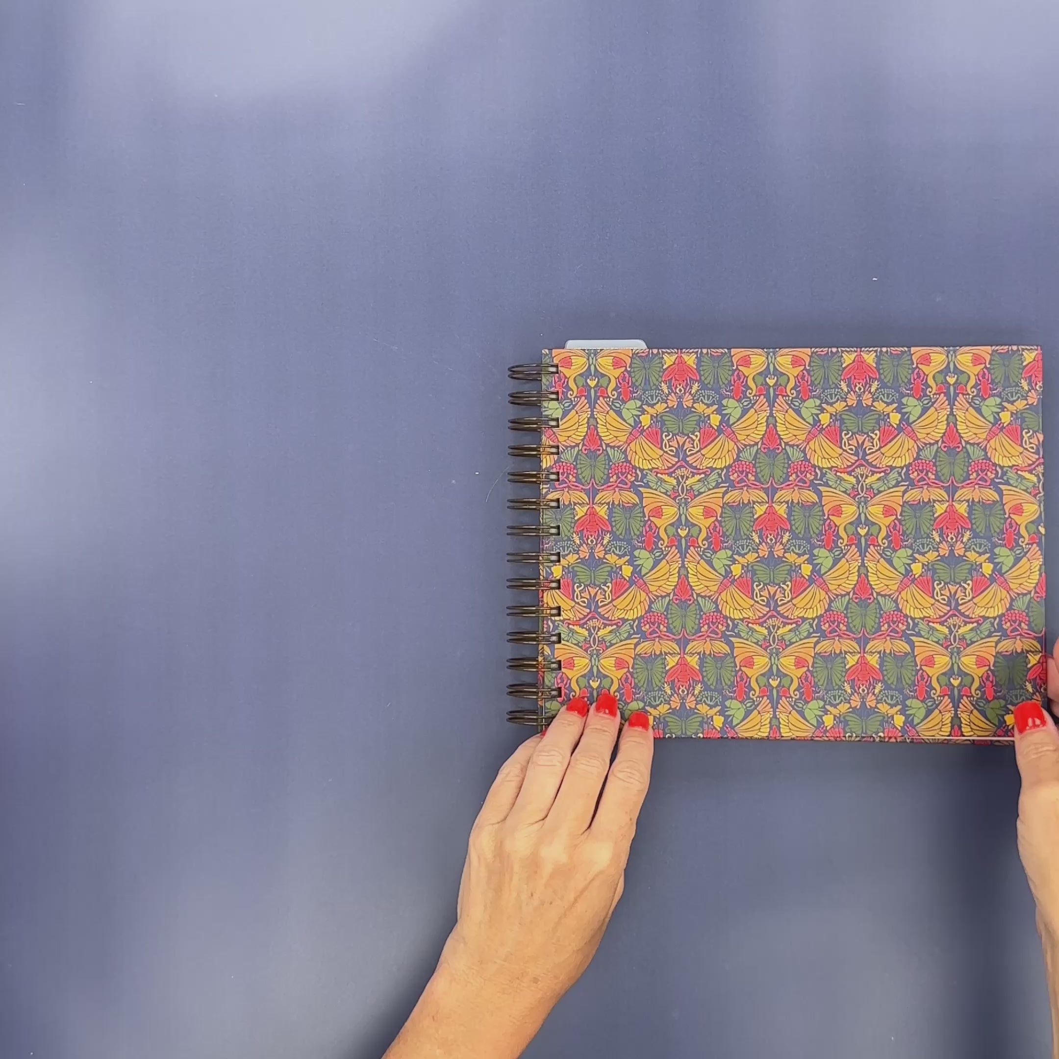 Video Flip-Through
