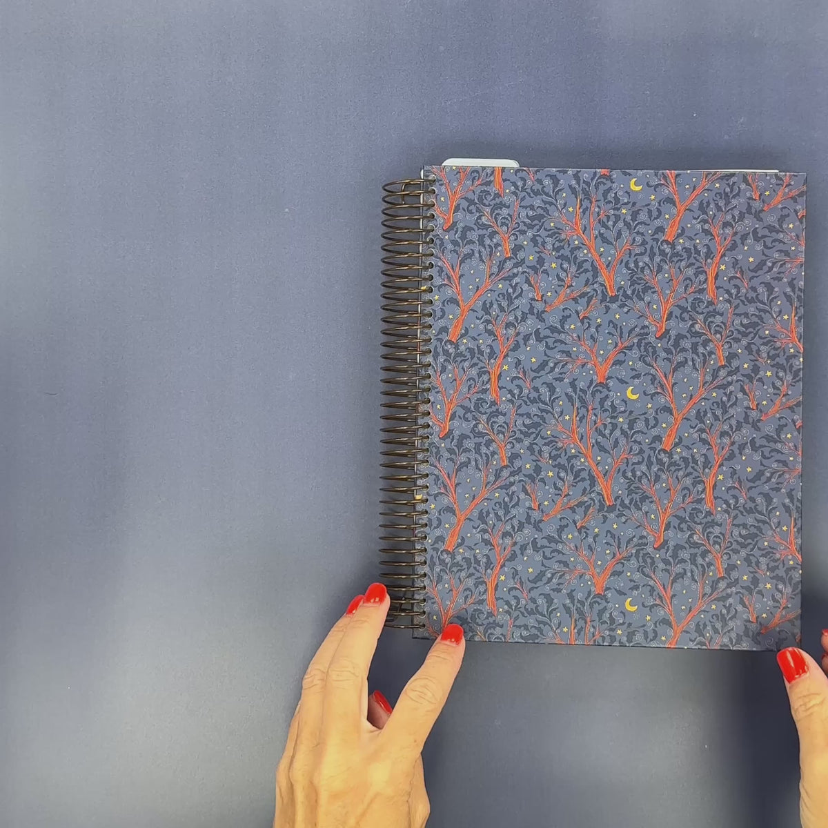 Flip-Through Video