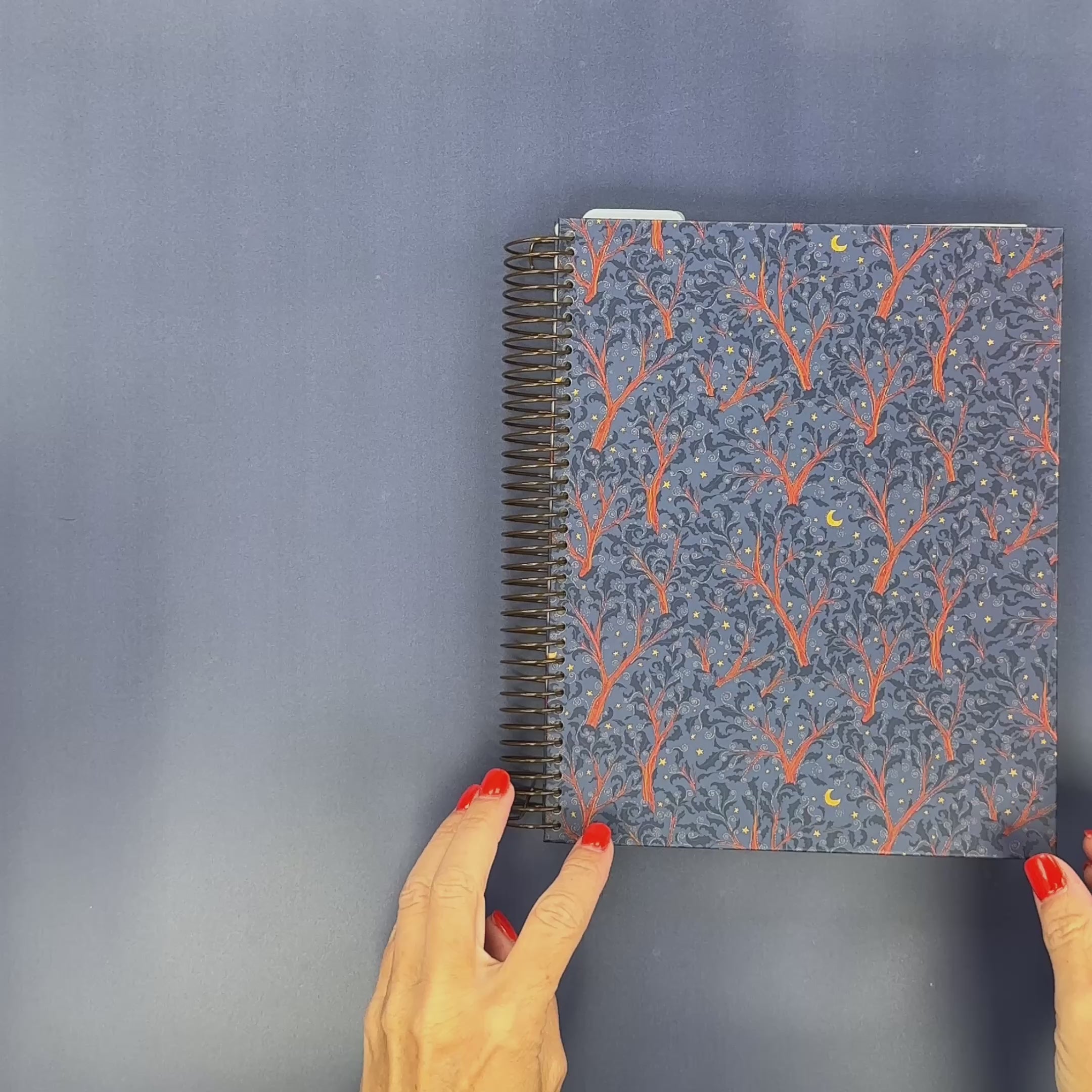Flip-Through Video