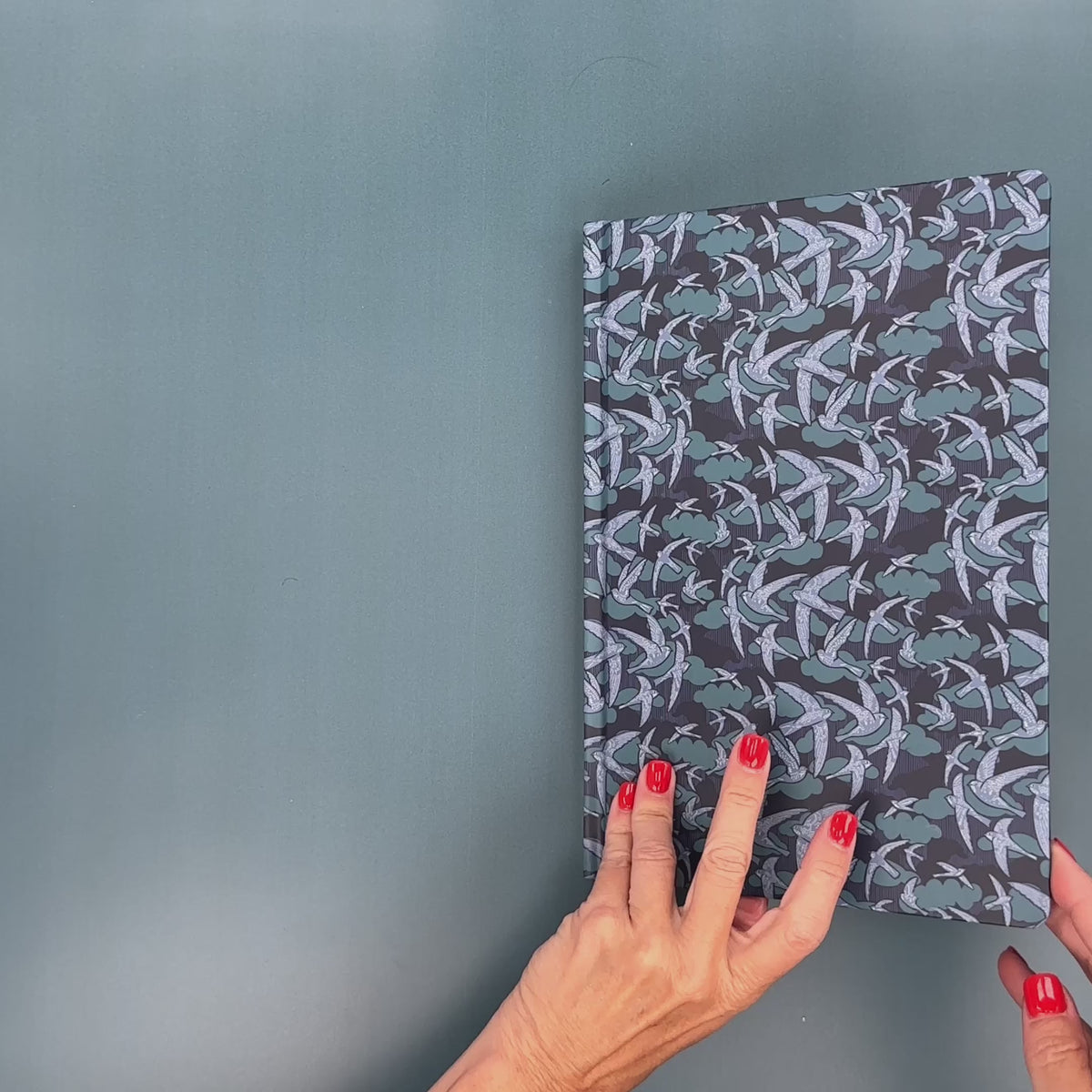 Flip-Through Video