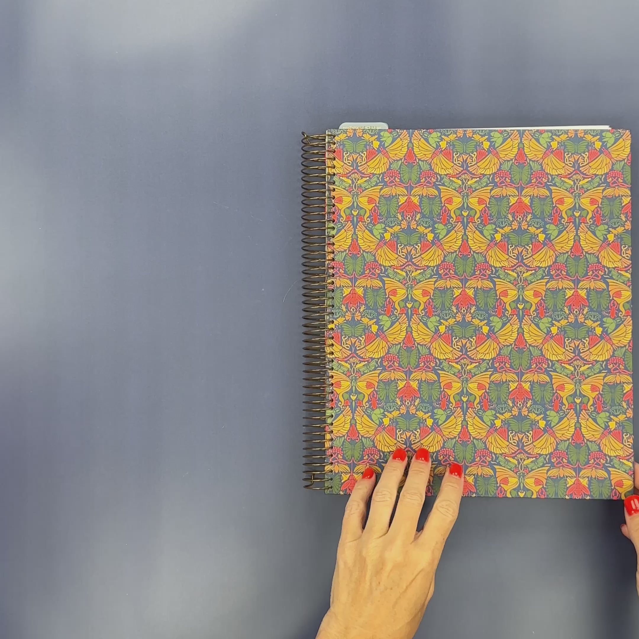 Flip-Through Video