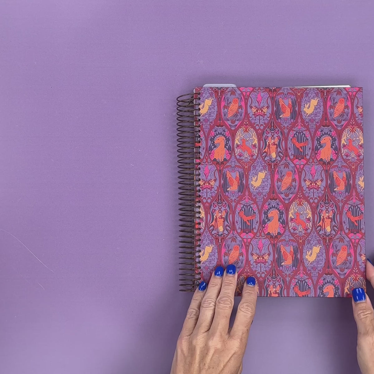 Flip-Through Video