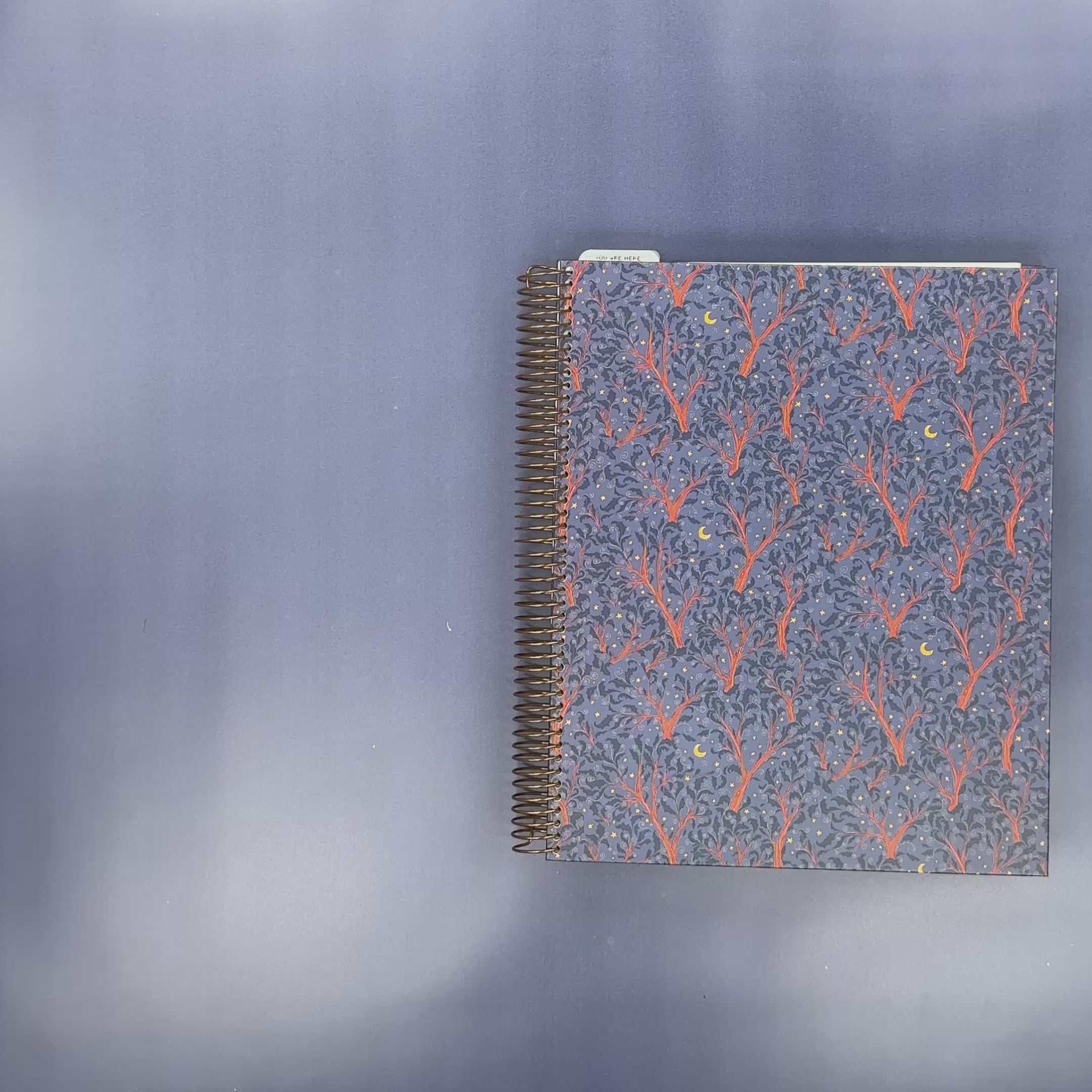 Flip-Through Video