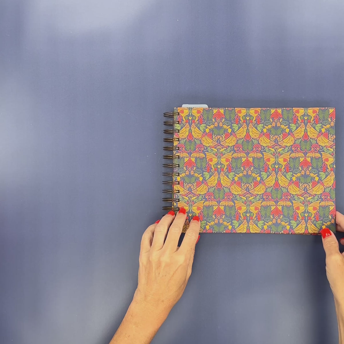 Video Flip-Through