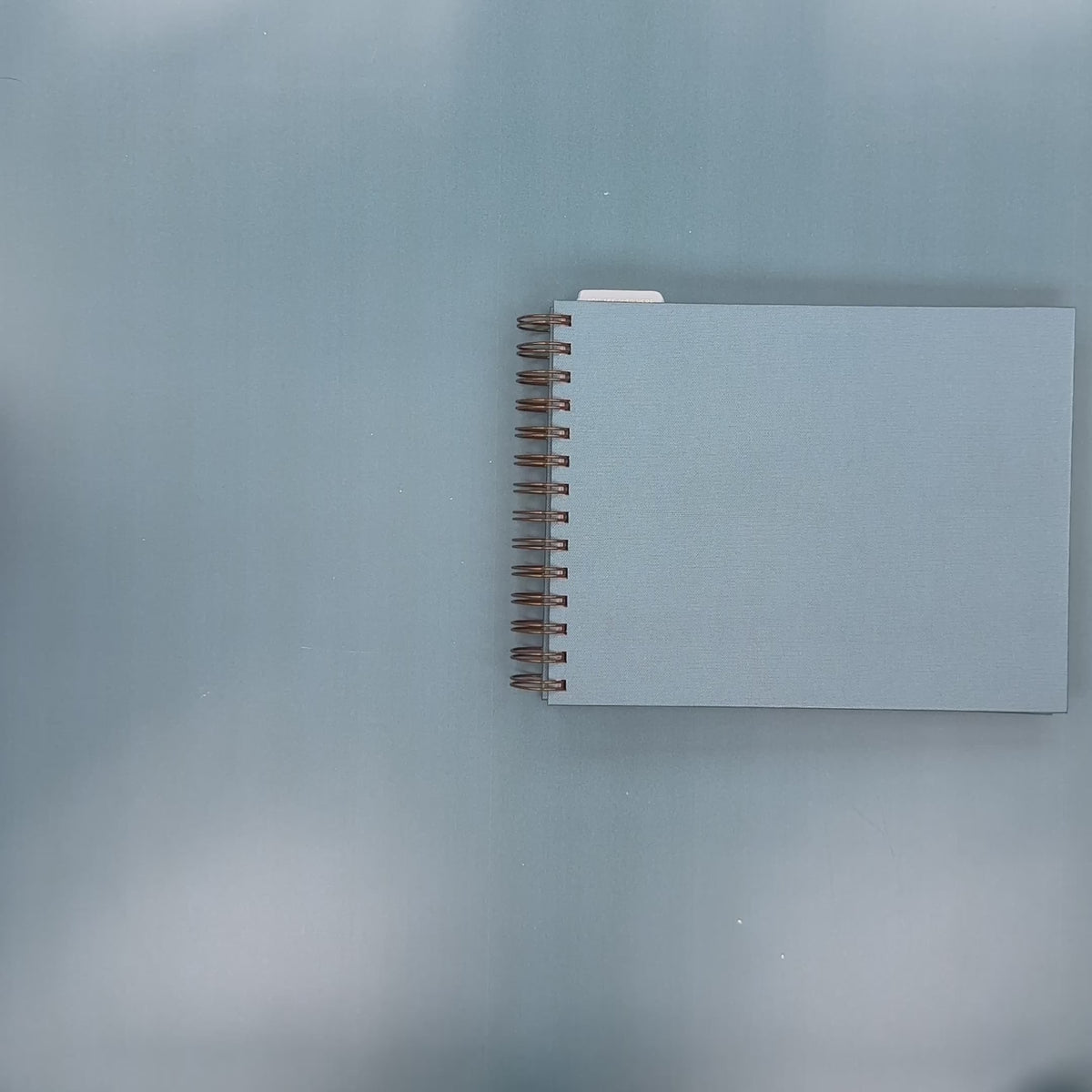 Flip-Through Video