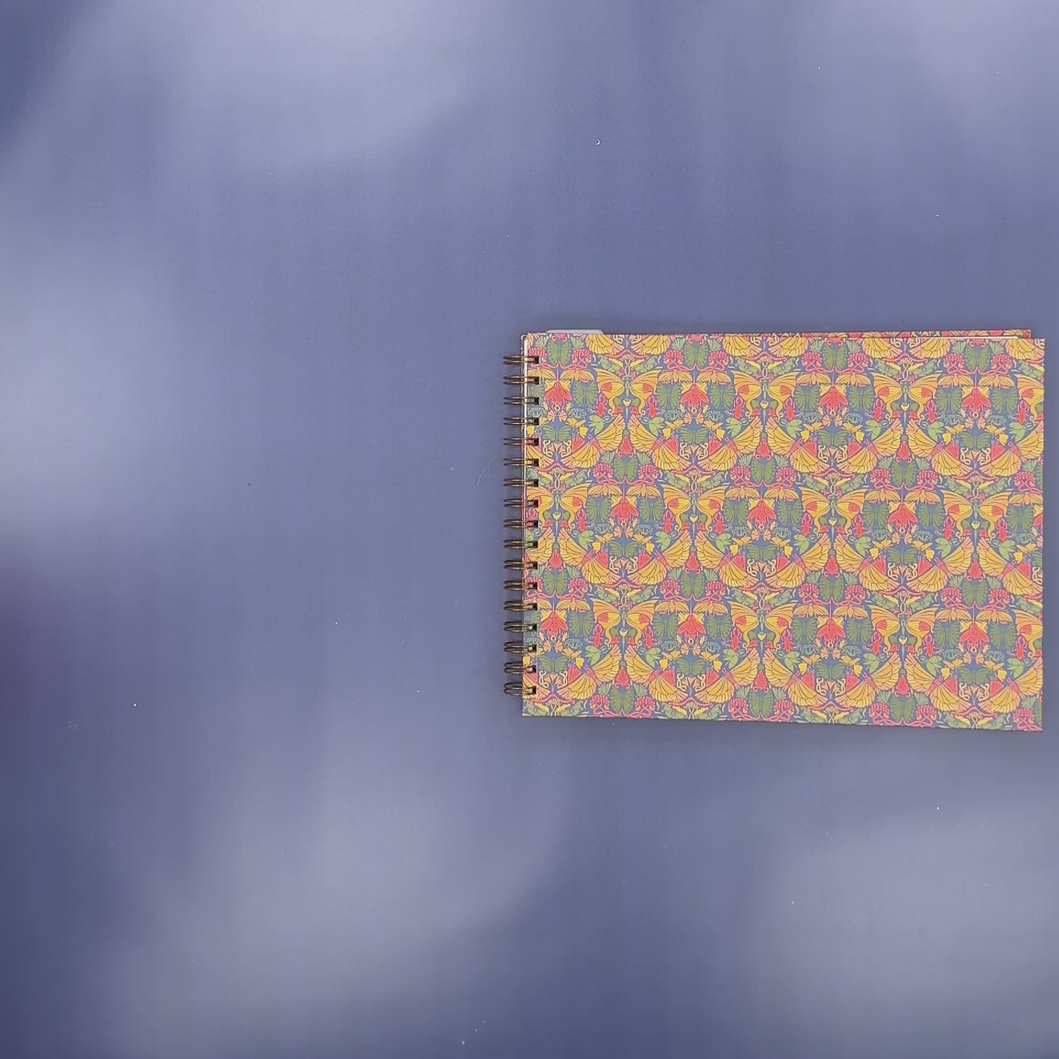 Flip-Through Video
